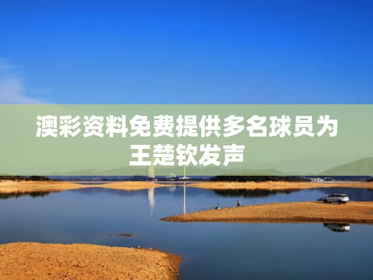 澳彩资料免费提供	多名球员为王楚钦发声