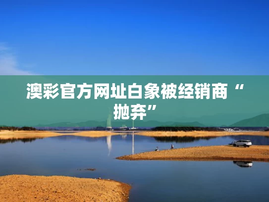 澳彩官方网址	白象被经销商“抛弃”