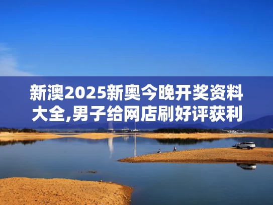 新澳2025新奥今晚开奖资料大全,男子给网店刷好评获利780万被判刑