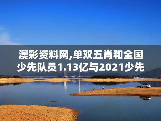 澳彩资料网,单双五肖和全国少先队员1.13亿与2021少先队员人数