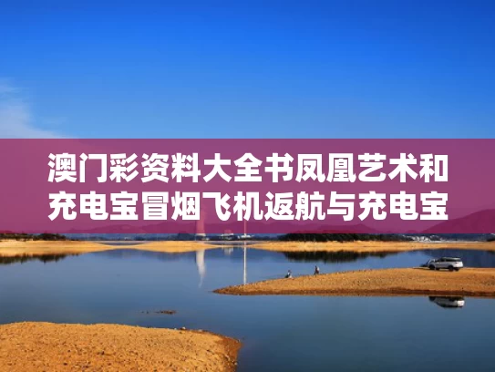 澳门彩资料大全书凤凰艺术和充电宝冒烟飞机返航与充电宝冒烟会爆炸吗