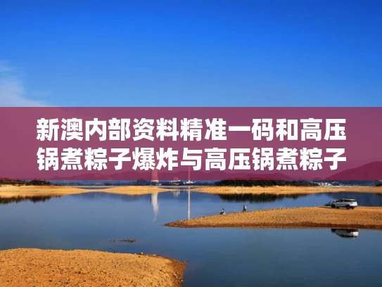 新澳内部资料精准一码和高压锅煮粽子爆炸与高压锅煮粽子爆炸是怎么回事