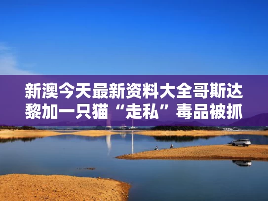 新澳今天最新资料大全	哥斯达黎加一只猫“走私”毒品被抓