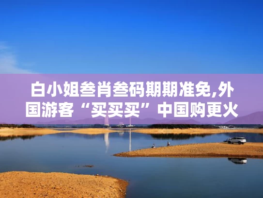 白小姐叁肖叁码期期准免,外国游客“买买买”中国购更火了