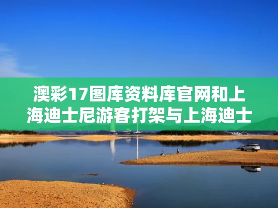 澳彩17图库资料库官网	和上海迪士尼游客打架与上海迪士尼 被打