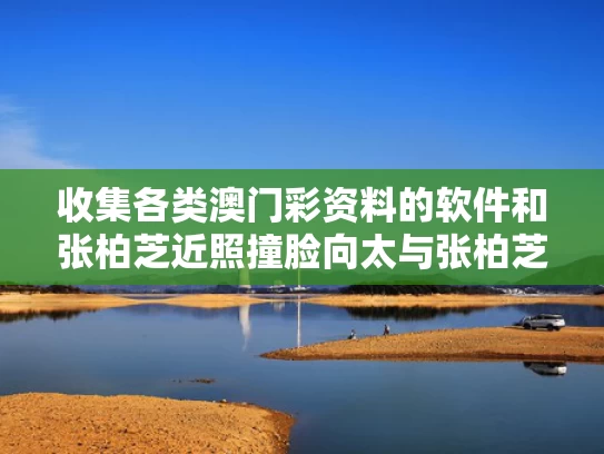 收集各类澳门彩资料的软件和张柏芝近照撞脸向太与张柏芝撞脸演员