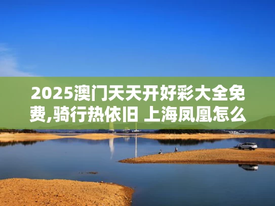 2025澳门天天开好彩大全免费,骑行热依旧 上海凤凰怎么不行了