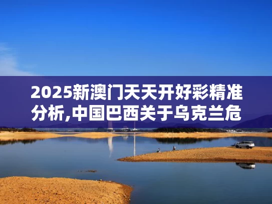 2025新澳门天天开好彩精准分析,中国巴西关于乌克兰危机的联合声明