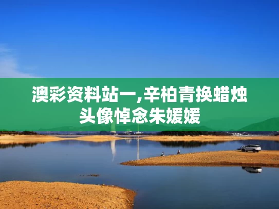 澳彩资料站一,辛柏青换蜡烛头像悼念朱媛媛