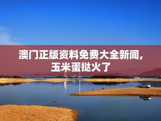 澳门正版资料免费大全新闻,玉米蛋挞火了