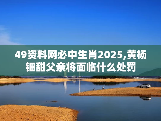 49资料网必中生肖2025,黄杨钿甜父亲将面临什么处罚
