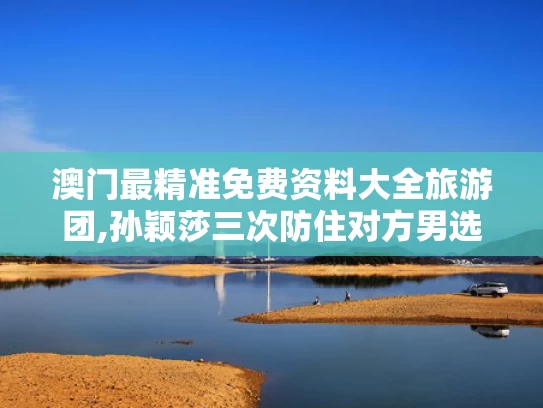 澳门最精准免费资料大全旅游团,孙颖莎三次防住对方男选手倒地爆冲