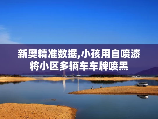 新奥精准数据,小孩用自喷漆将小区多辆车车牌喷黑