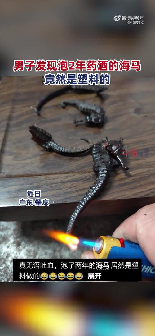全国新闻 第36页