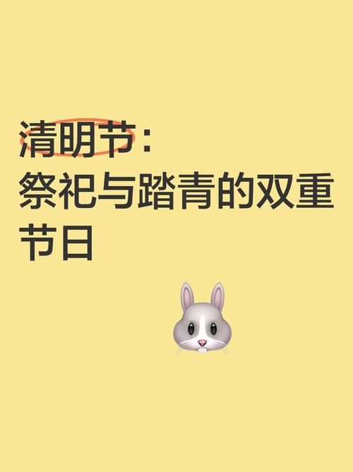地方关注 第24页