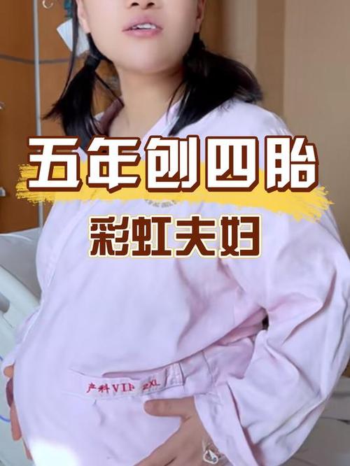 彩虹夫妇宣布停播;彩虹夫妇宣布停播是真的吗