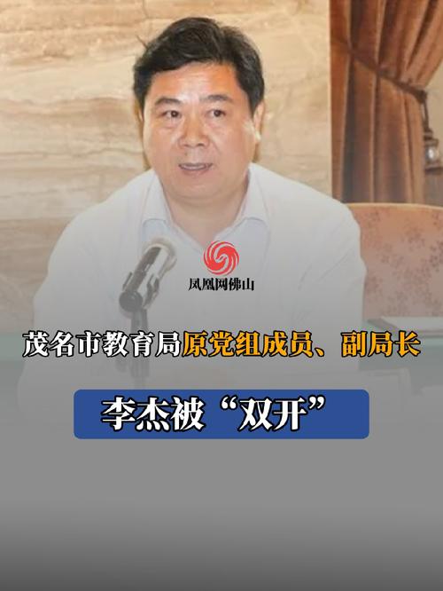 公安局副局长被双开;公安局副局长被双开了