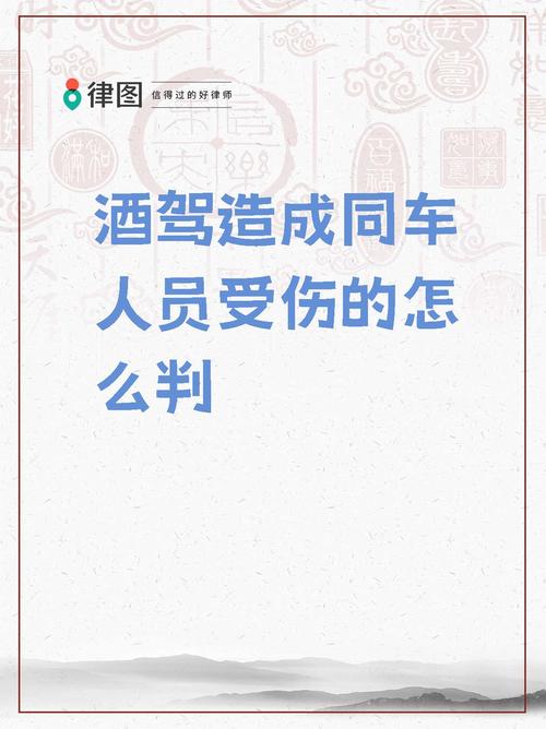 司机酒驾母子1死1伤;司机酒驾母子1死1伤判几年