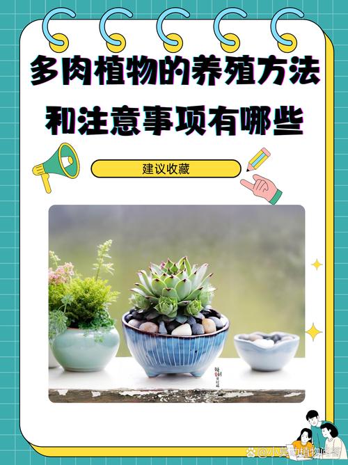 新门内部资料最快更新和央视曝光云养殖骗局与央视曝光云养殖骗局是真的吗