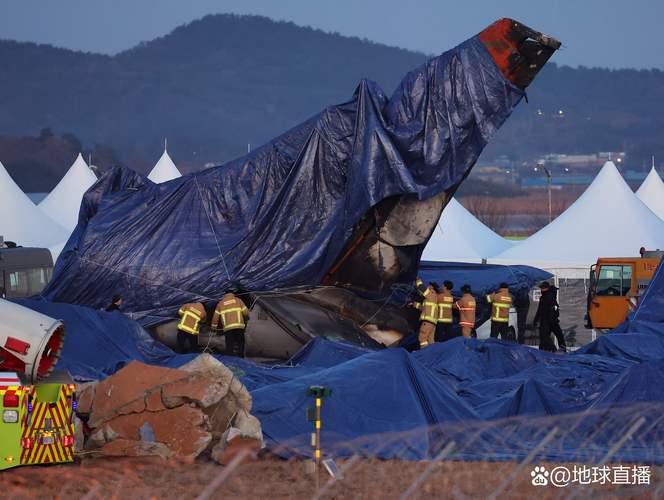 新港澳彩开奖号码记录和韩国发生飞机坠毁与韩国发生飞机坠毁事件