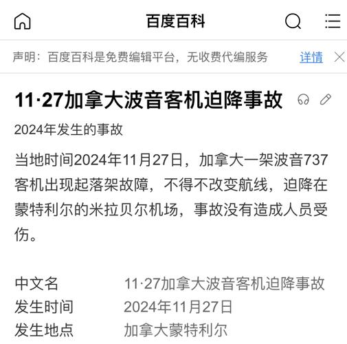 2025新奥资料正版大全和韩国发生飞机坠毁与韩国发生飞机坠毁事件