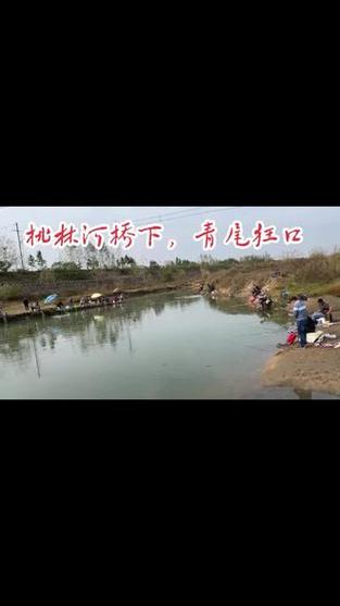 澳门今晚开奖结果+开奖记录和保护区里的疯狂垂钓与保护区里的疯狂垂钓是什么