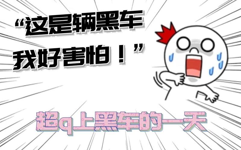 2025全年資料免費大全和黑车3公里收1800元与跑黑车3元一公里可以吗