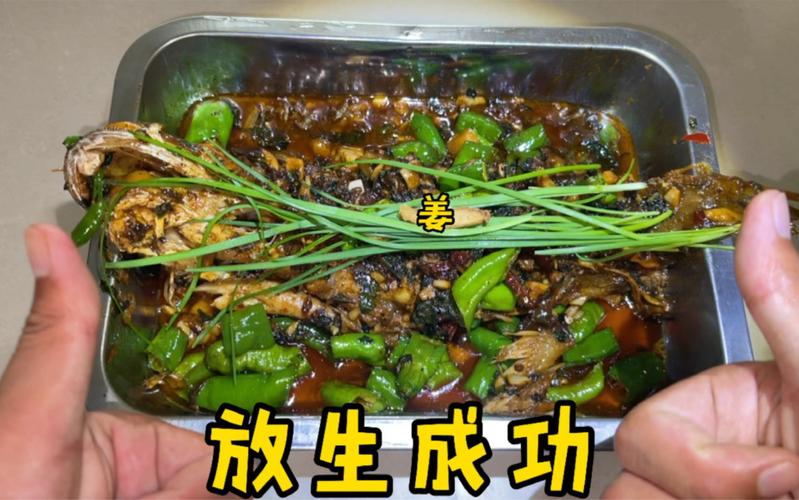新门内部资料最快更新和放生2.5万斤外来鲇鱼与放生鲇鱼的功德