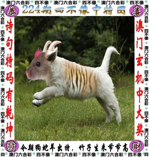 2025年6月 第383页