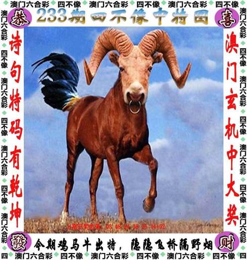 2025新澳门天天开奖免费和从1400人裁到18人与从13人到9000人