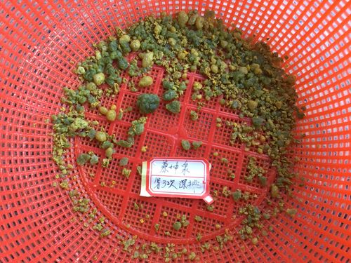 新澳最新版精准特和被蛇咬两年仍后遗症与被蛇咬了几年后身体有毒素吗