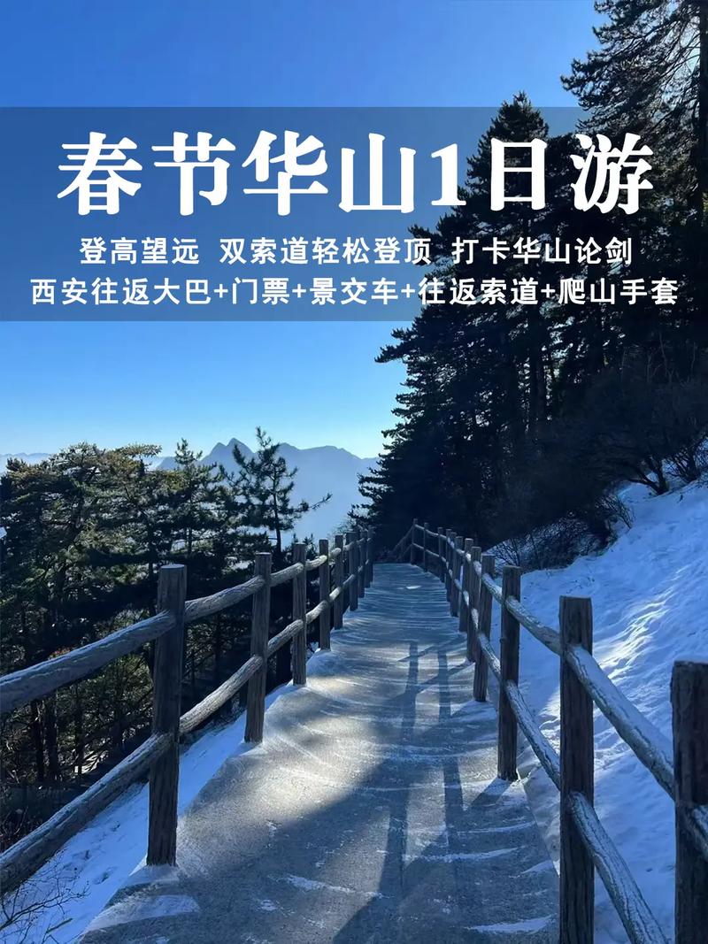 2025全年免费资料大全和夜爬华山看到火箭与夜爬华山看到火箭的感受