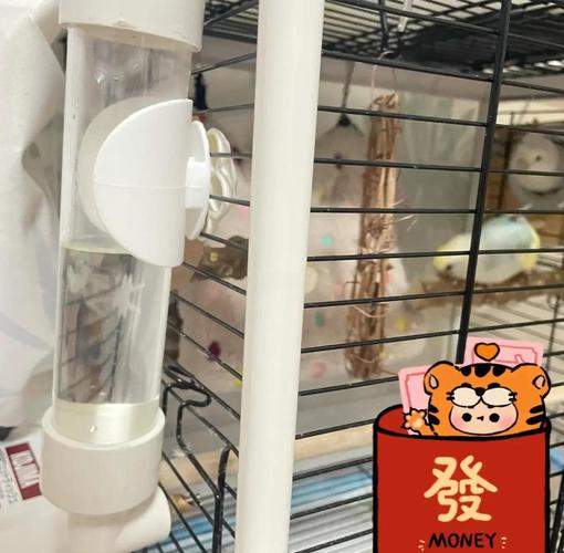 新澳今晚特9点30开什么和鹦鹉开饮水器喝水与鹦鹉开饮水器喝水好吗