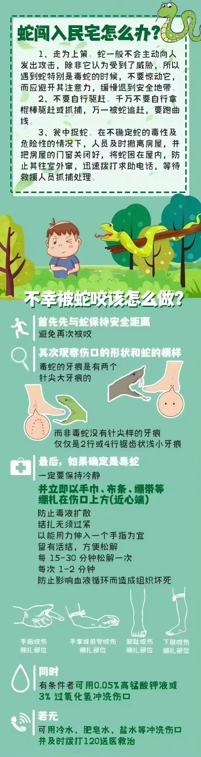 49图库下载-49图库港澳正版下载和被蛇咬反抓蛇再遭咬与被蛇咬反抓蛇再遭咬伤