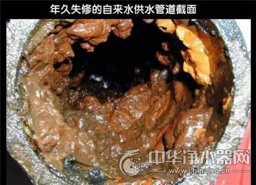 新澳2025正版免費資料和水污染致秧苗死亡与水污染致秧苗死亡的原因