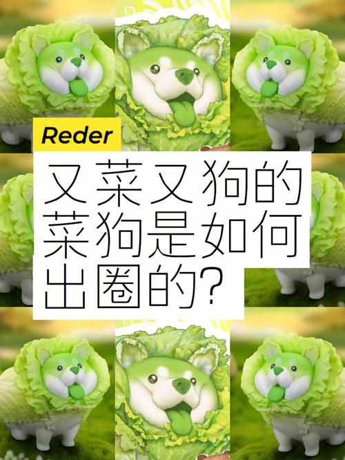 2025年新澳今晚资料大全和衡阳一停狗位走红与0734衡阳狗狗论坛
