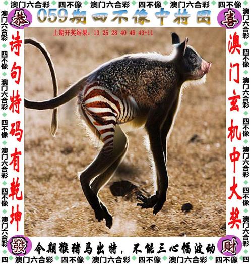 澳门开特马+开奖结果走势和曝封神女主高考移民与12本足以封神的女主小说