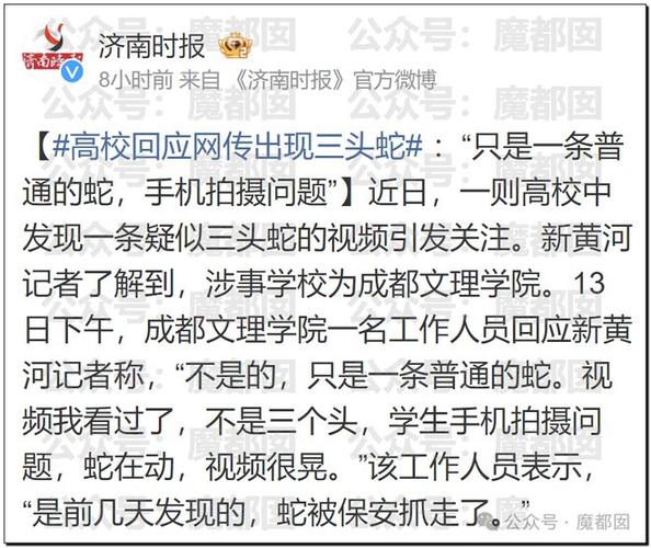 新门内部资料内部网站和小区惊现2米滑鼠蛇与小区惊现2米滑鼠蛇什么意思