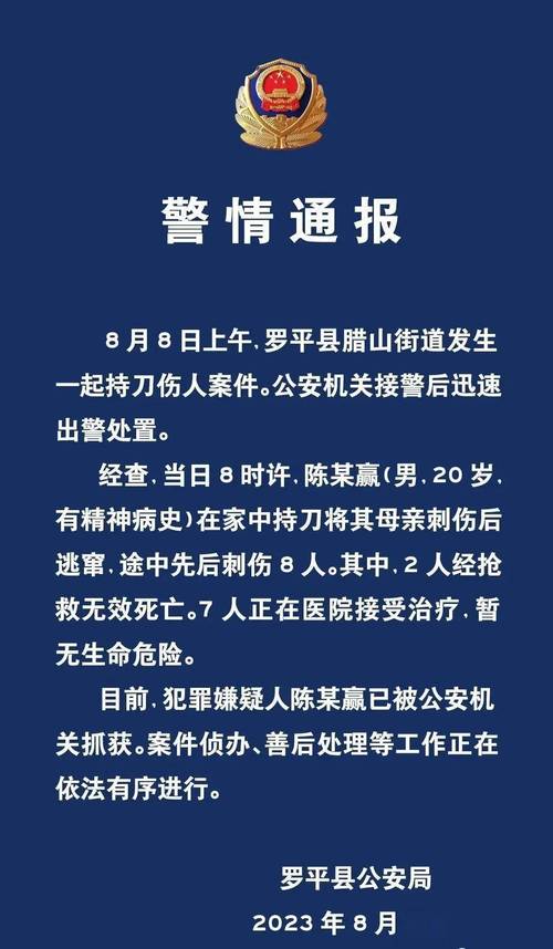 2025澳门开奖结果查询和停车失误致1死2伤与男子停车失误