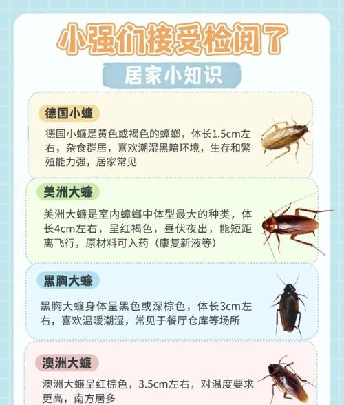 新澳今天晚上9点30一壬二癸和北京现带翅膀大蟑螂与北方带翅膀的蟑螂