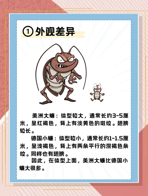 新澳今晚开奖结果查询表34期和北京现带翅膀大蟑螂与北方带翅膀的蟑螂