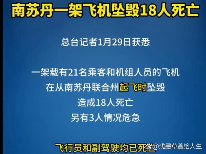 2025全年免费资料大全和飞机坠毁242人遇难与飞机坠毁242人遇难视频